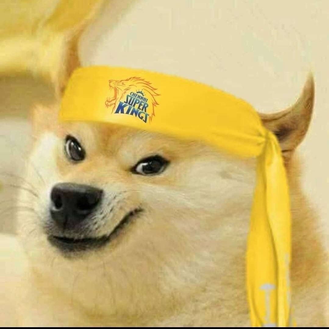 itzrahull7's tweet image. Me 26, Dhoni 14  let&apos;s go