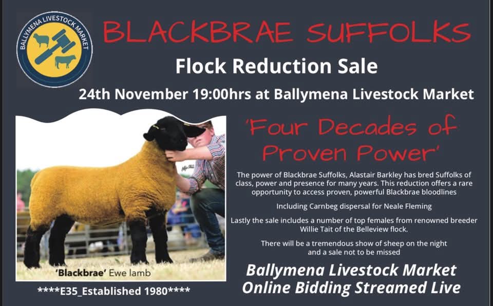 Roger Barkley tweet media