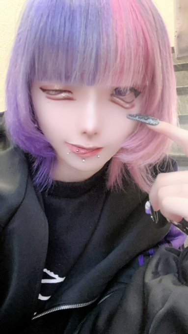 ノラ猫でも愛してくれますか？のツイート