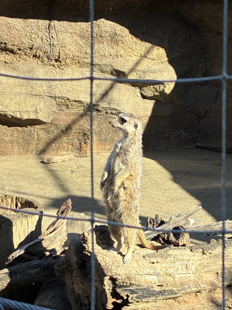 なつ🦫 (@72727272iro) on X