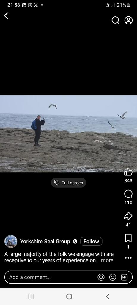 denise_orvis's tweet image. facebook.com/share/v/1KBowJ…
A #Seal colony, many pregnant...
2 of too many ignorant humans who think they have rights to interfere with a family.. no, Not Human but equally important, another #Species 
Keep away.. keep your #dogs away please