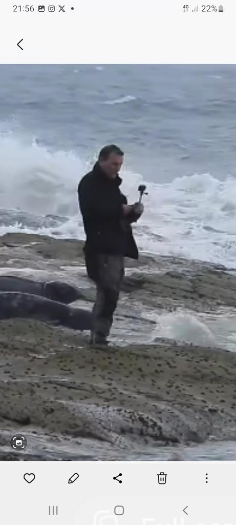 denise_orvis's tweet image. facebook.com/share/v/1KBowJ…
A #Seal colony, many pregnant...
2 of too many ignorant humans who think they have rights to interfere with a family.. no, Not Human but equally important, another #Species 
Keep away.. keep your #dogs away please