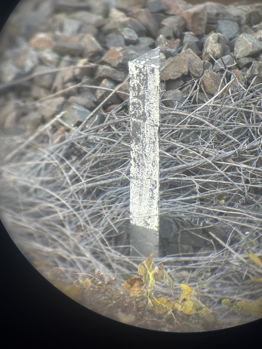 須郷様(幕張ミーグリ　説明欄) 詳細のお知らせ】7月21日(月・祝)開催 | ニュース | 日向坂46公式サイト