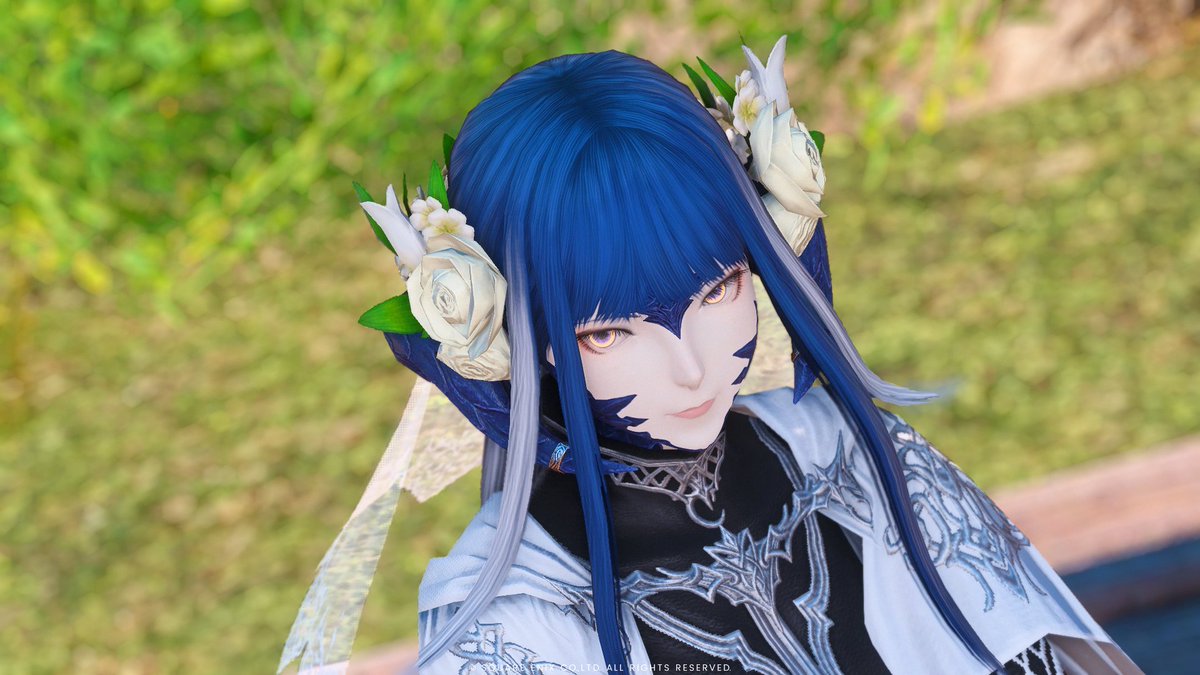 ☪ ‎Dawn (@dawn_himaa) / Posts / X