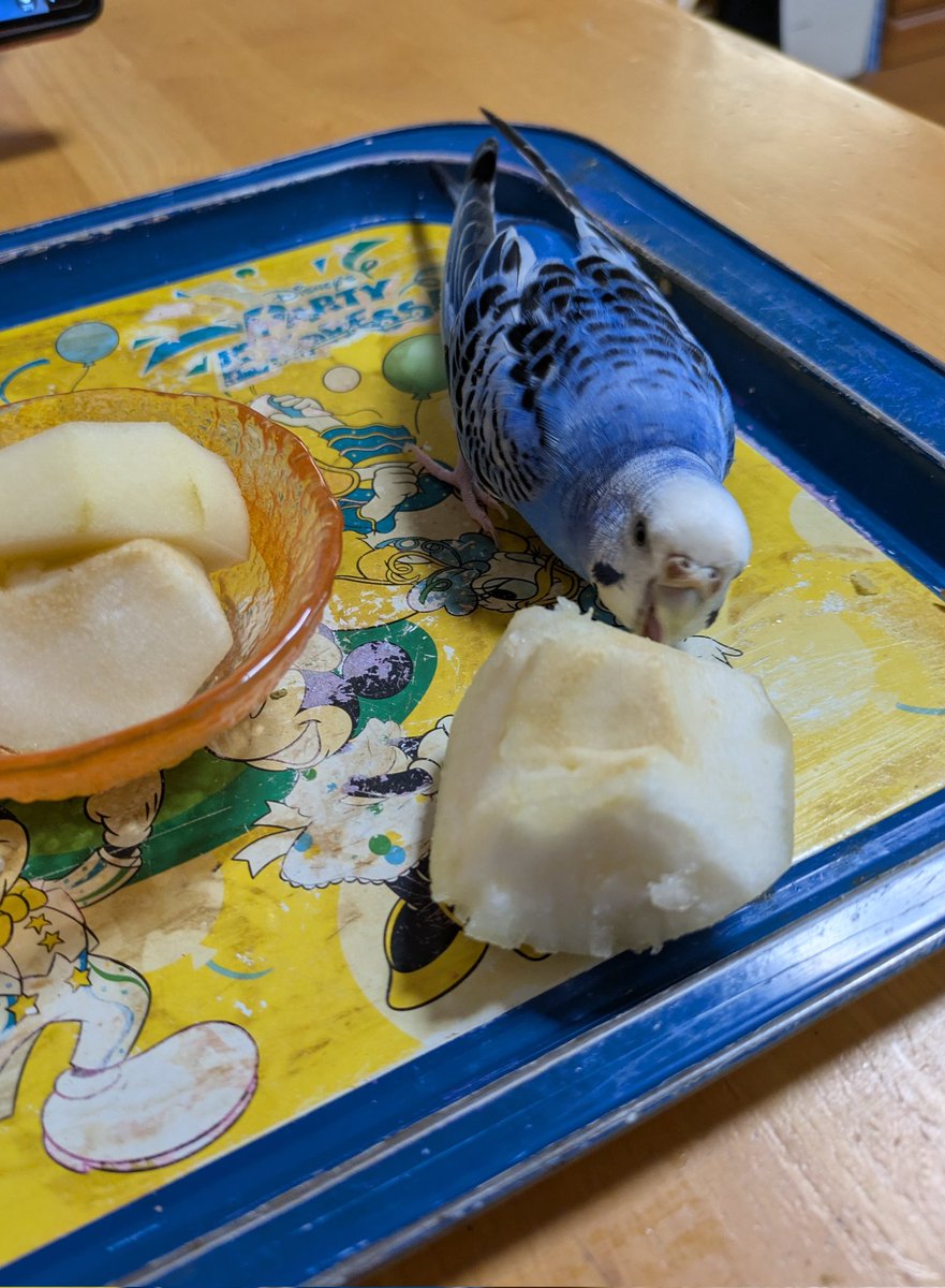 こんにちは
20年以上前、👜初海外旅行は🇮🇹イタリアでした。映画「ローマの休日」に憧れて❤️イタリアでの夢のような10日間の旅を終えて早朝便での帰国でした。ホテルの朝食ボックスに入っていたのが「🍏ラ フランス」当時日本では余り売ってなかったような。旅の懐古しながら🐦️ぴーと一緒に頂きます