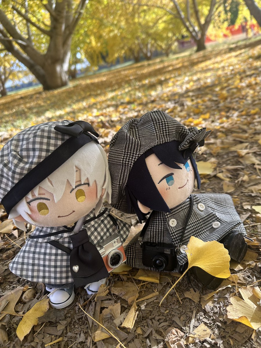 イチョウとわんぱくたちをを撮影しに行ってきた！
松井に着せてるケープは来年のCC福岡用の試作。
#わんぱくぬいが見られるタグ