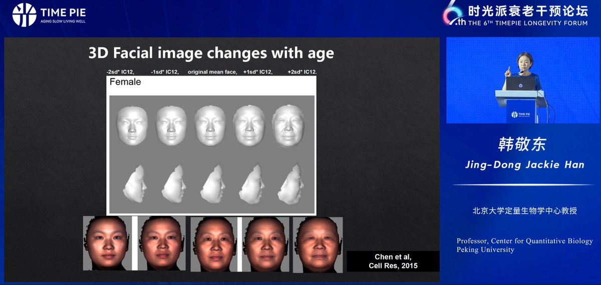 TimePieChina's tweet image. AI Is Transforming How We Measure Aging
Dr. Jing-Dong Jackie Han @PKU1898 showcased #AI-powered #aging clocks at the 6th #TimepieLongevityForum: a 3D facial image clock predicts biological age within ~2.8 yrs and links to lifestyle &amp;amp; inflammation. 

youtube.com/watch?v=NQd4Wb…