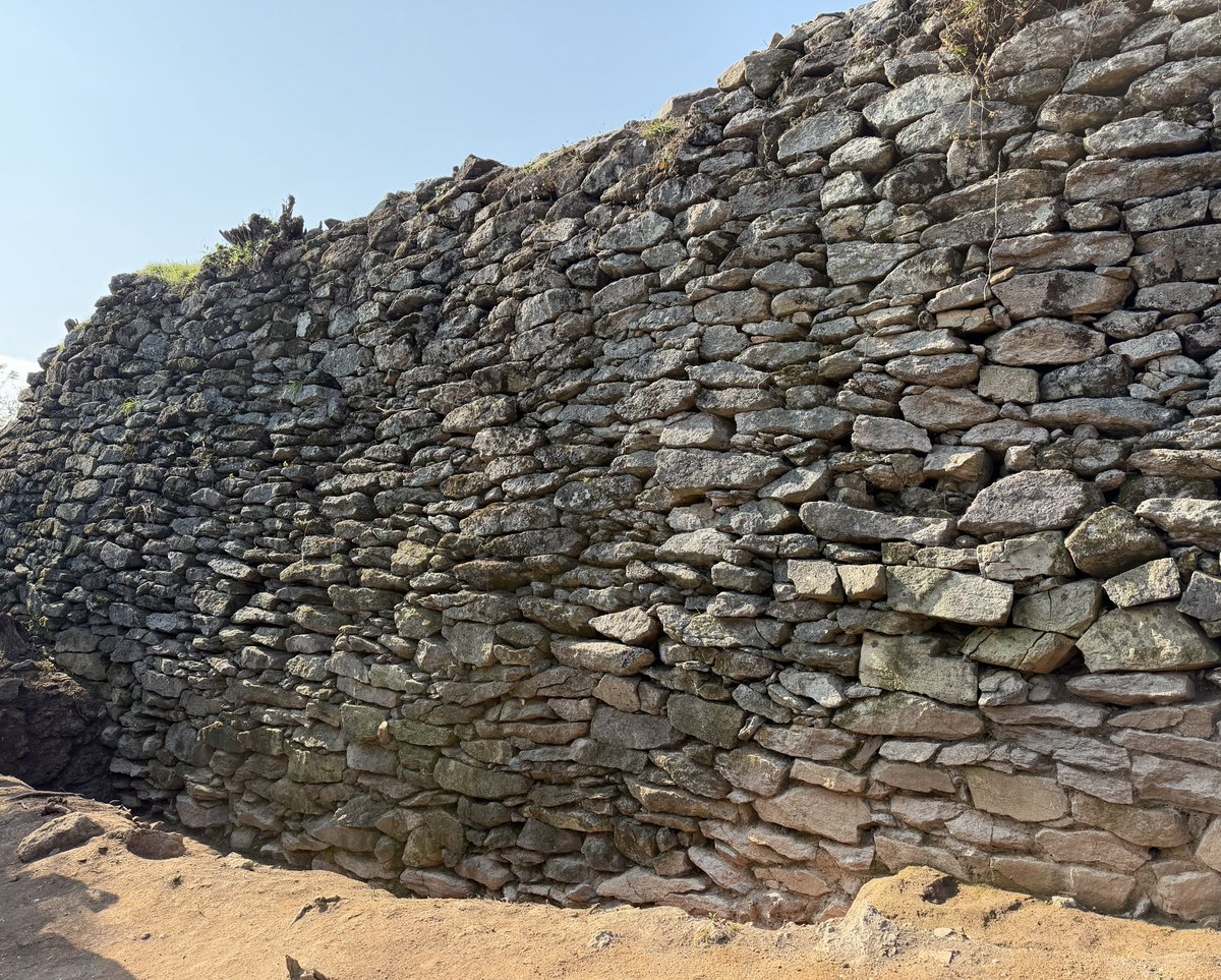 BackInMusashi's tweet image. 高興南陽里山城,本日現地説明会。北城壁で新たに雉城を発見。良いタイミングで再訪出来ました。share.google/I1lyZTp5BVxRCc…