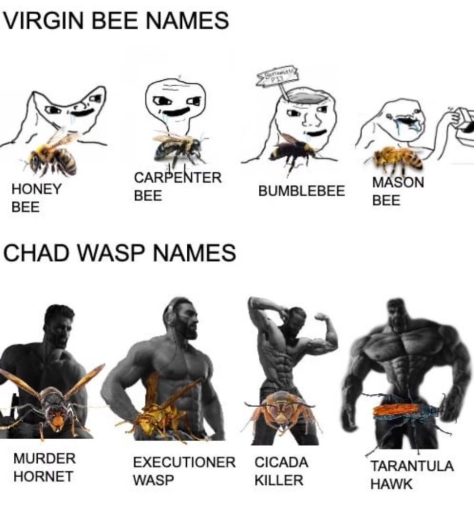 shitpost_2077's tweet image. 