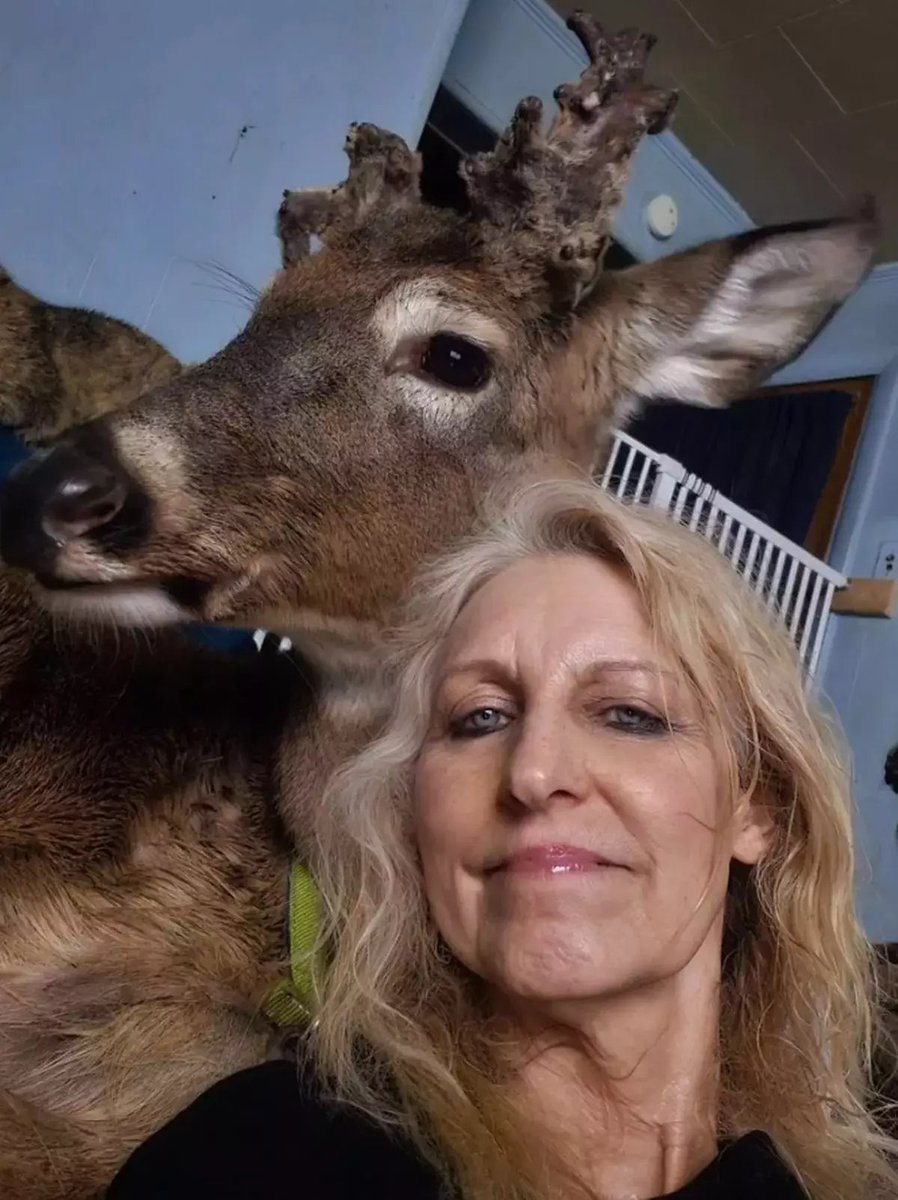 A woman in the US has been mauled to death by a deer she'd rescued and looked after at her home.