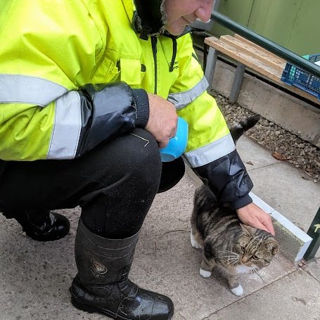 (Amanda)
I'm making new friends every day.
This human hasn't been at the allotments for very long but he loves cats and came to say hello to me.
His plot is next to where Maurine has moved to.
Once Maurine gets used to humans I think he will enjoy having a fuss from him.
I think