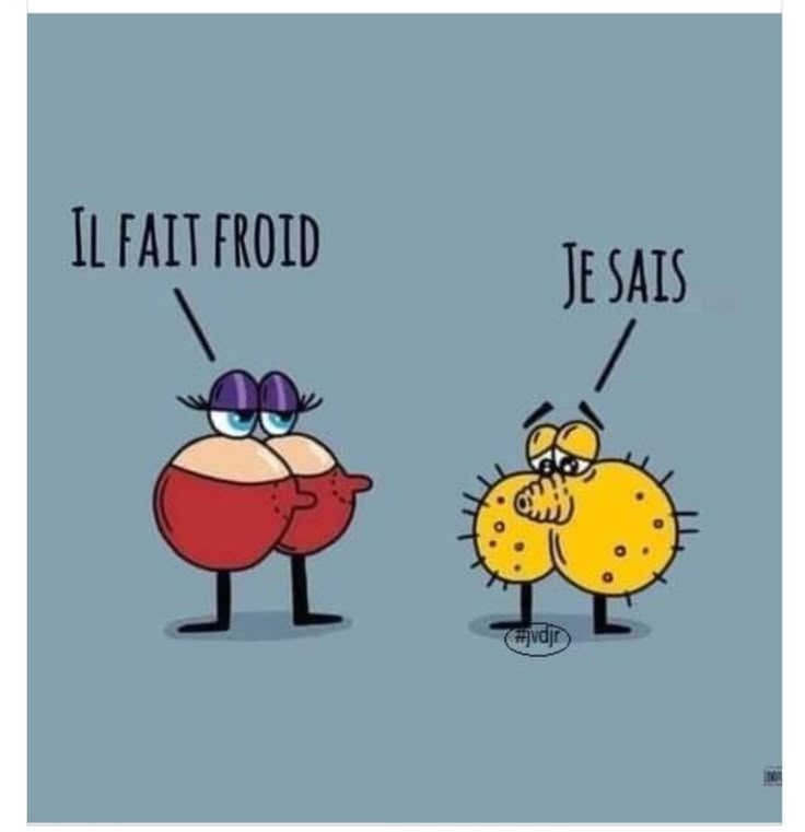 Bonjour les bienveillants 😊 🇺🇦 
Bon lundi à tous 😁