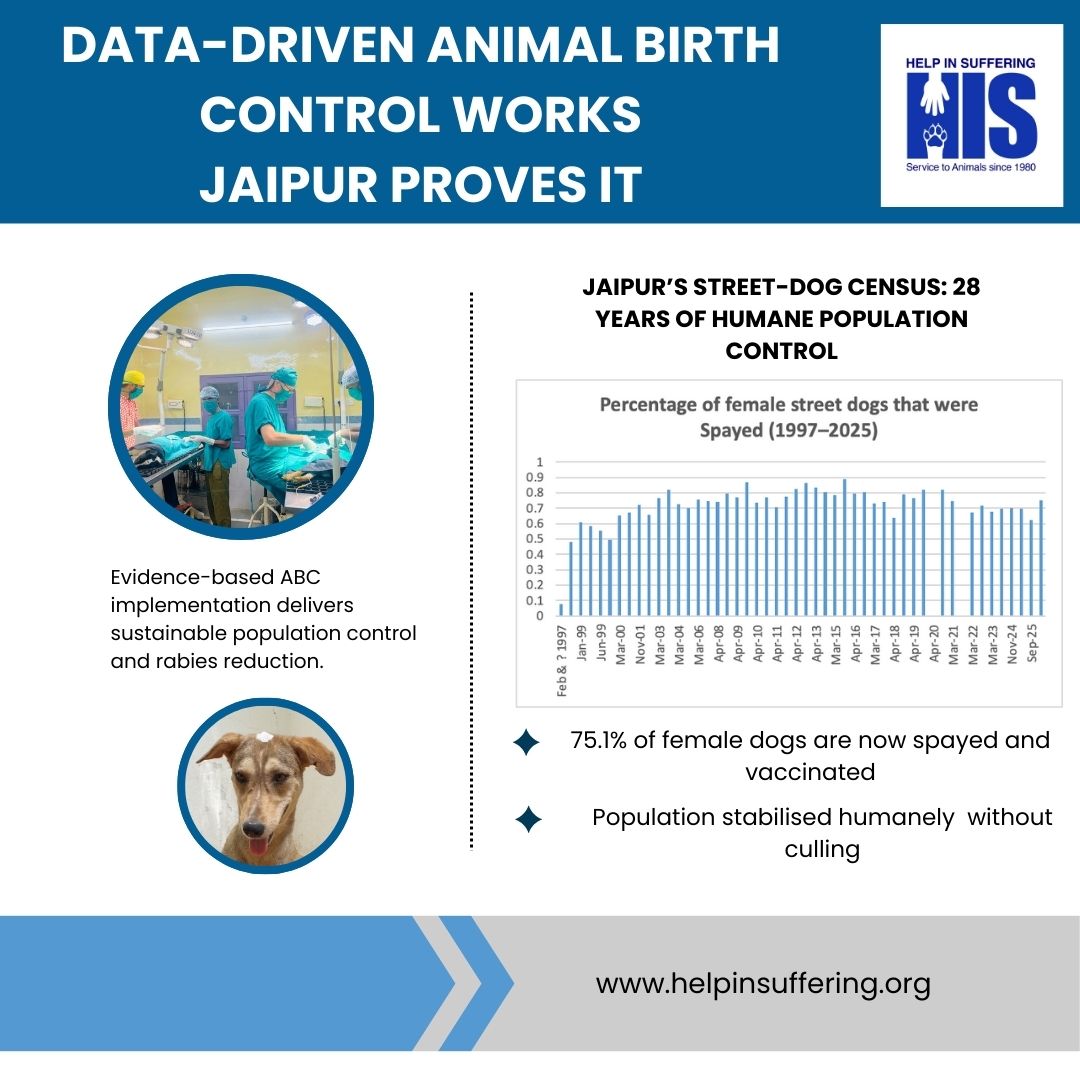 HelpSufferingIN's tweet photo. A dog census  is the foundation of effective ABC &amp; rabies control.
 City Counts in Jaipur has tracked street-dog numbers since 1997, making it one of the world’s longest continuous datasets.

Nov 2025 results 👇

🐕 74% dogs vaccinated
♀️ 75.1% females spayed
🐶 Only 1.8% puppies https://t.co/oDovm7iEDP