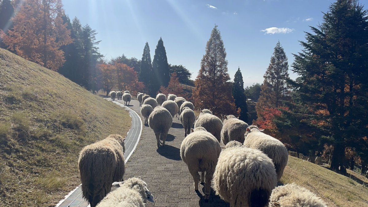 向かう先は行き止まり…
でも景色は絶景でした✨️