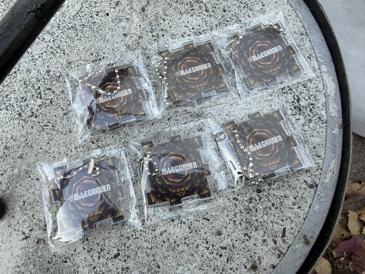 尽未来祭2025 ガチャガチャ ELLEGARDEN 尽未来祭ガチャガチャ交換〆