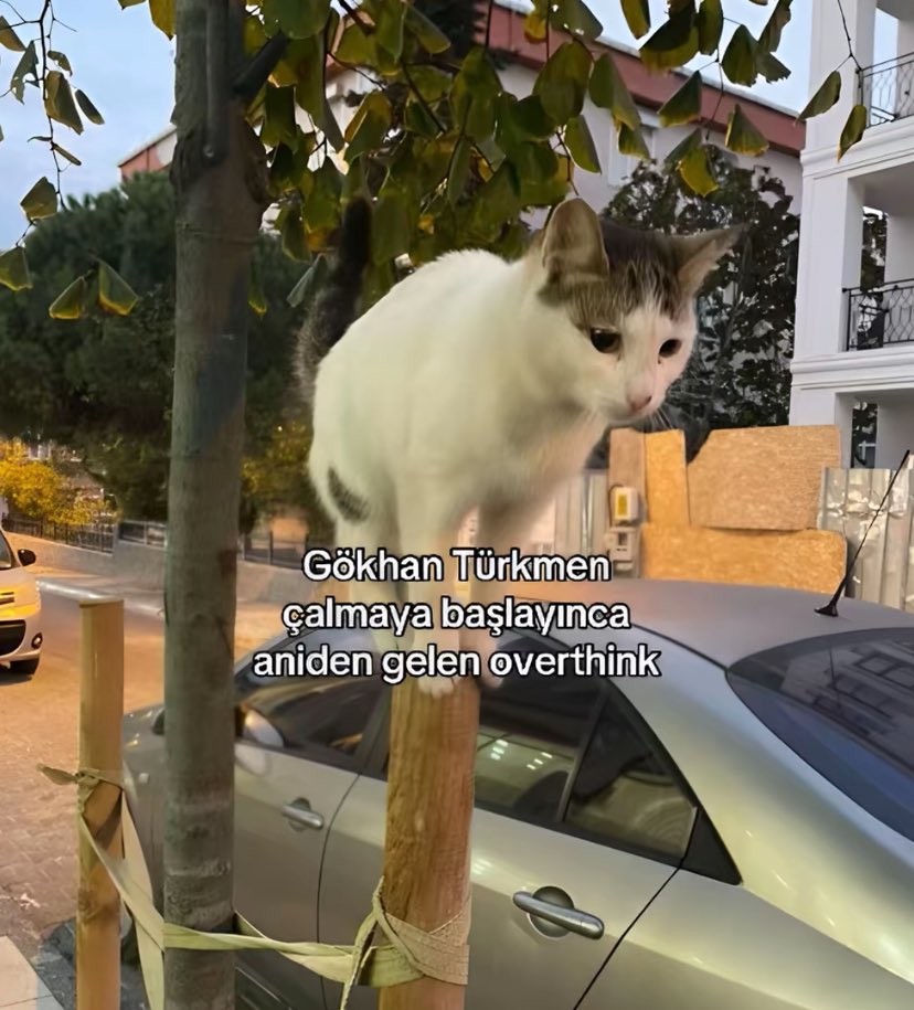 bariskaanercan's tweet image. 