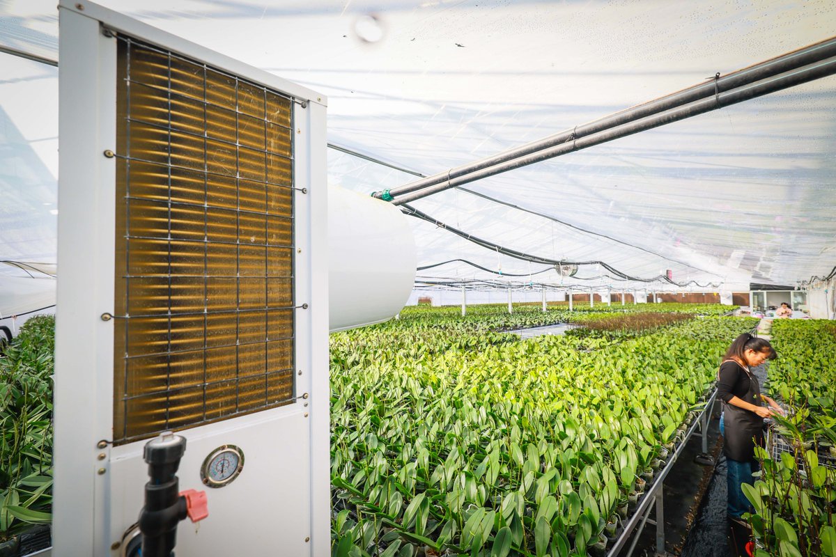 GoSongjiang's tweet photo. As a cold wave strikes, the Yunjian Huigu #FlowerBase in #Songjiang swiftly initiated #coldprotection measures, employing methods such as ground-source heat pumps, air conditioners, and incandescent lamps for precise temperature control to ensure the growth of the #flowers. https://t.co/Fz1tYgEpvG