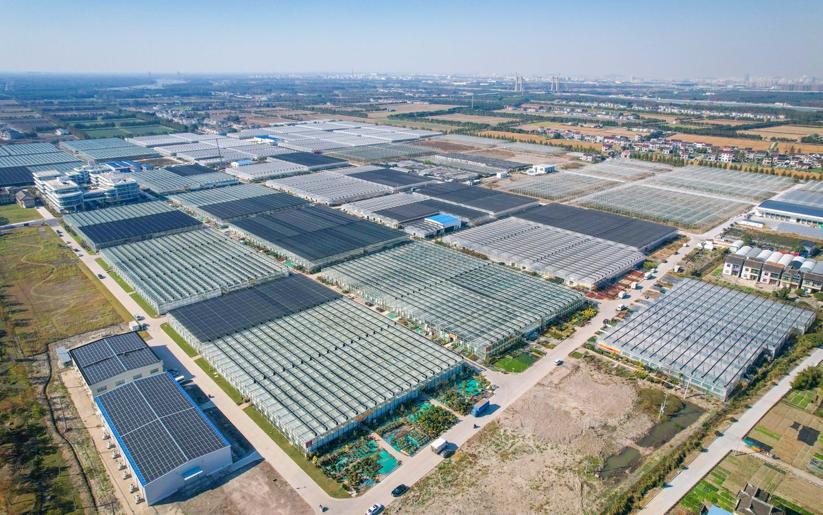 GoSongjiang's tweet photo. As a cold wave strikes, the Yunjian Huigu #FlowerBase in #Songjiang swiftly initiated #coldprotection measures, employing methods such as ground-source heat pumps, air conditioners, and incandescent lamps for precise temperature control to ensure the growth of the #flowers. https://t.co/Fz1tYgEpvG