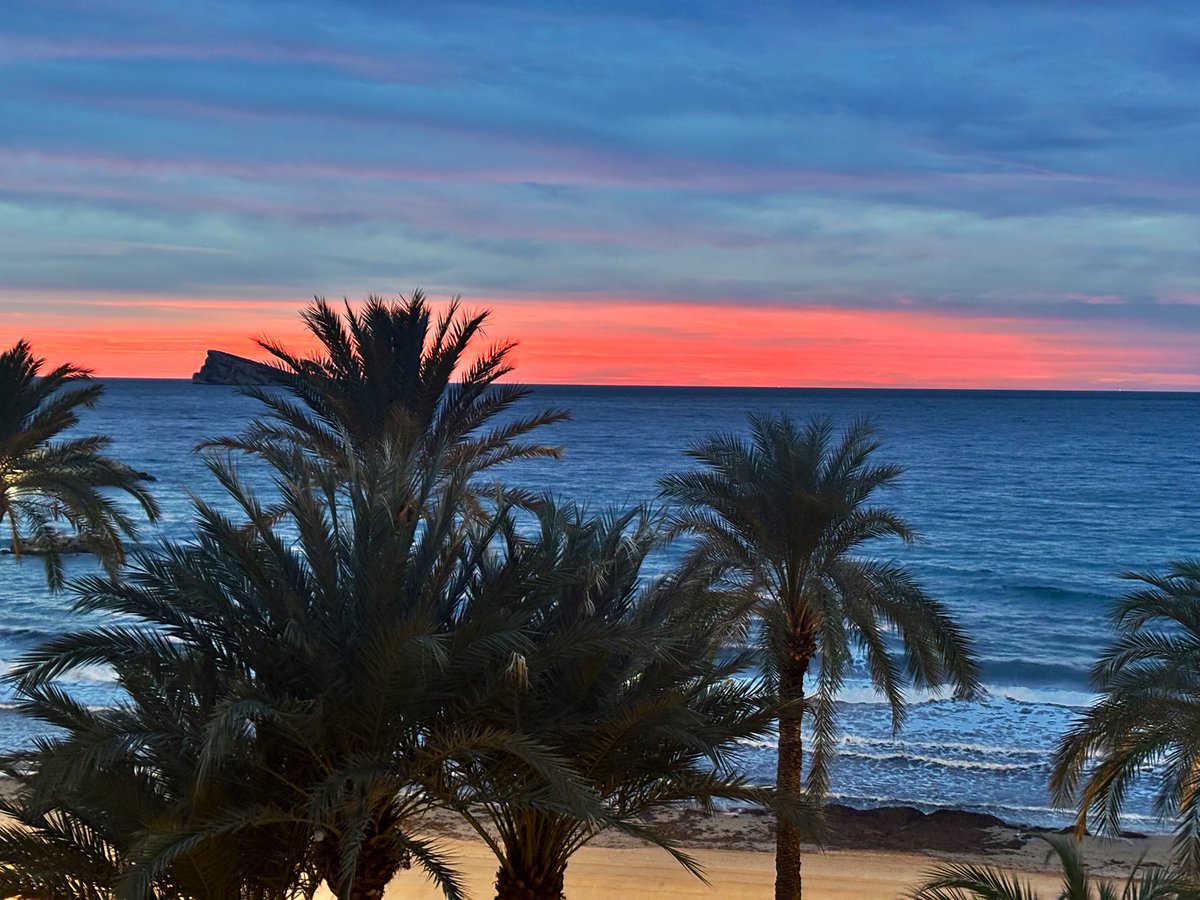 Lynn Fradders tweet media