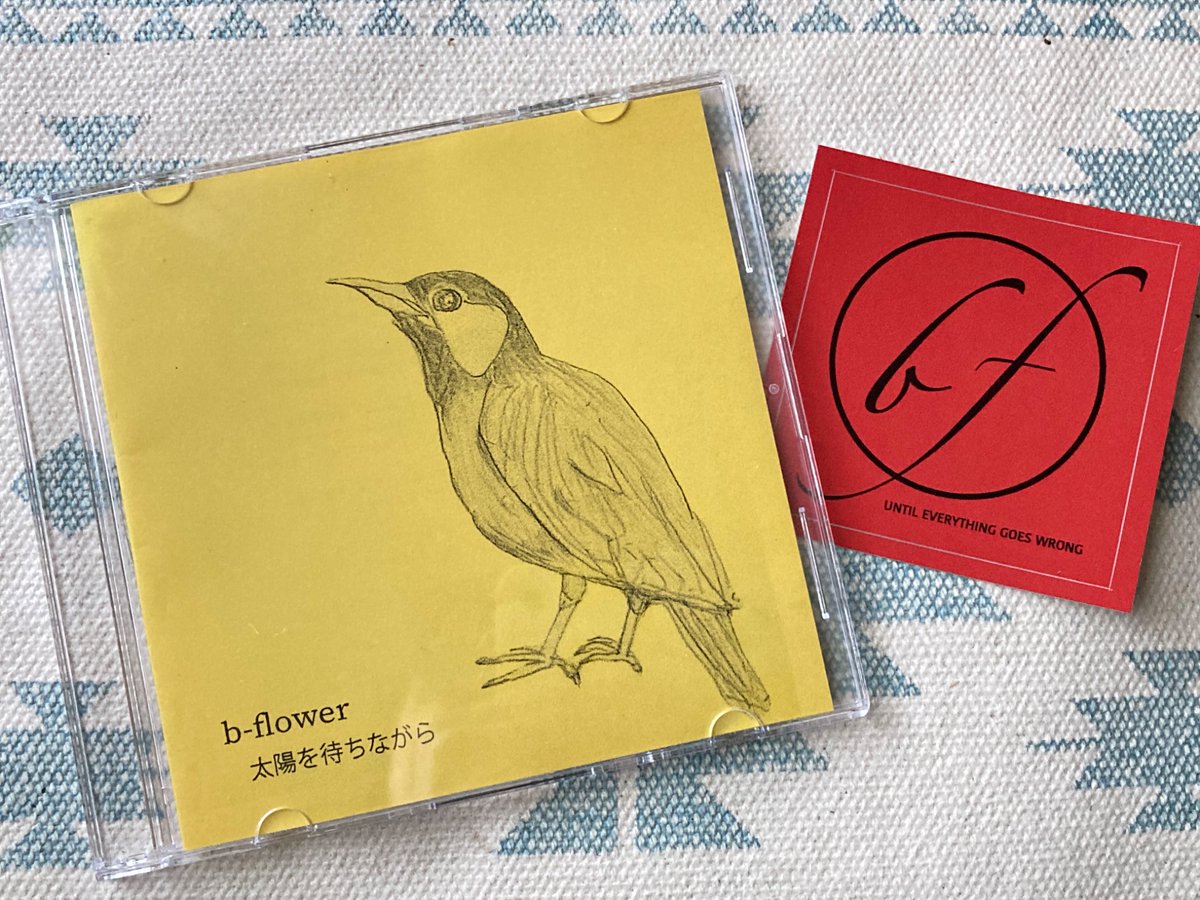 Megumi☆ (@ameame_neko) / Posts / X