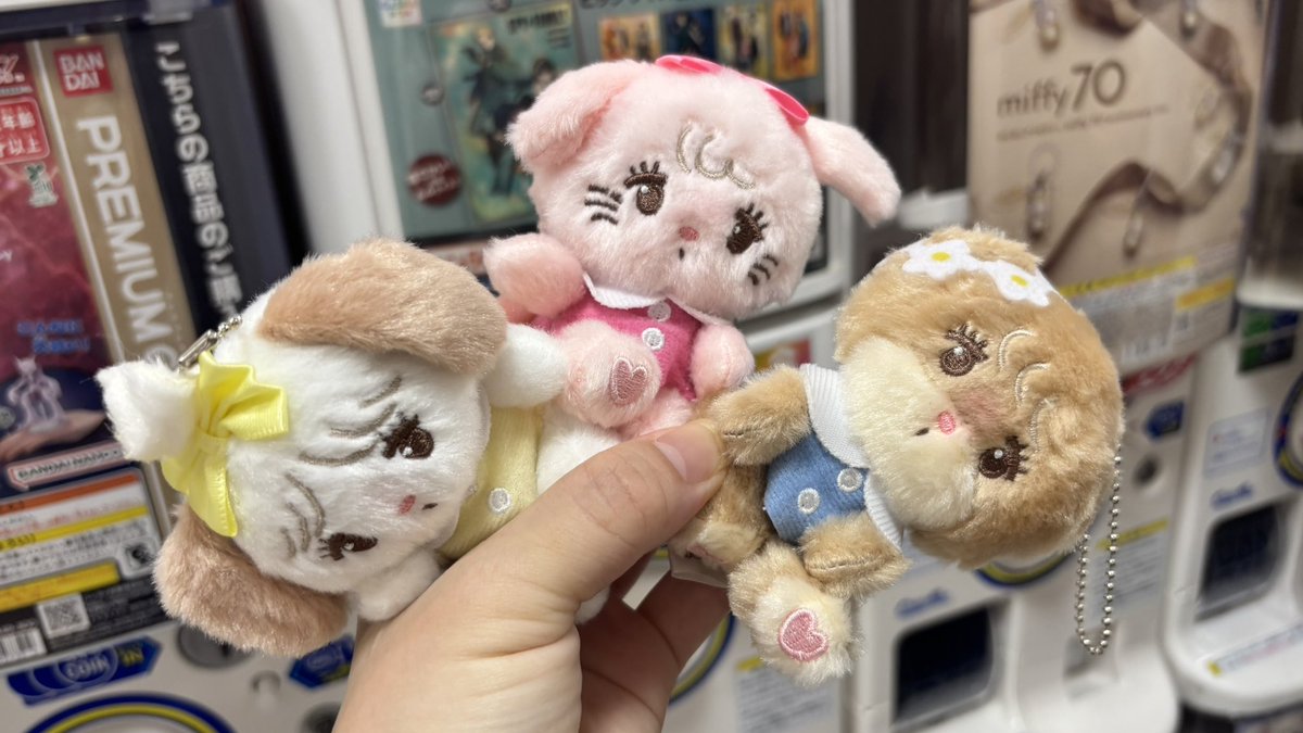 nito324's tweet image. #mikko のぬいぐるみガチャｃᐡ ̳&amp;gt;ᜊ&amp;lt; ̳ᐡっ
このぬいぐるみめっちゃ欲しくて見つかって嬉し〜✨
4回やってコンプしなかったけど可愛い…⋆. 𐙚 ˚