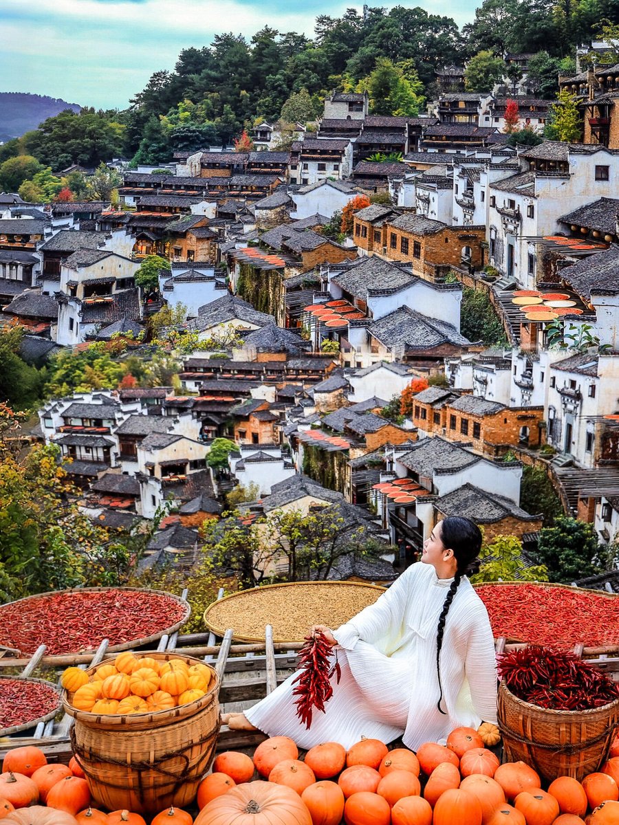 discover_jishui's tweet image. 江西婺源
最美的季节到了
#China #jiangxi