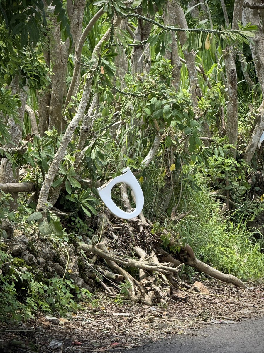 Est-ce un mauvais présage si quelqu'un accroche un abattant de toilettes à moitié cassé devant chez vous ?