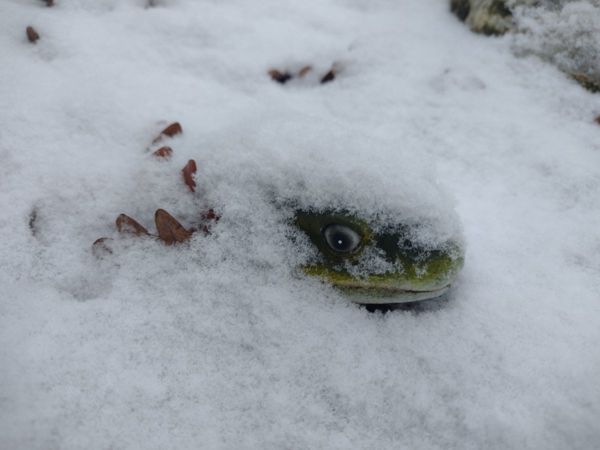 Nic ⚔️ Tendy's agent (Sight's my thing) tweet media