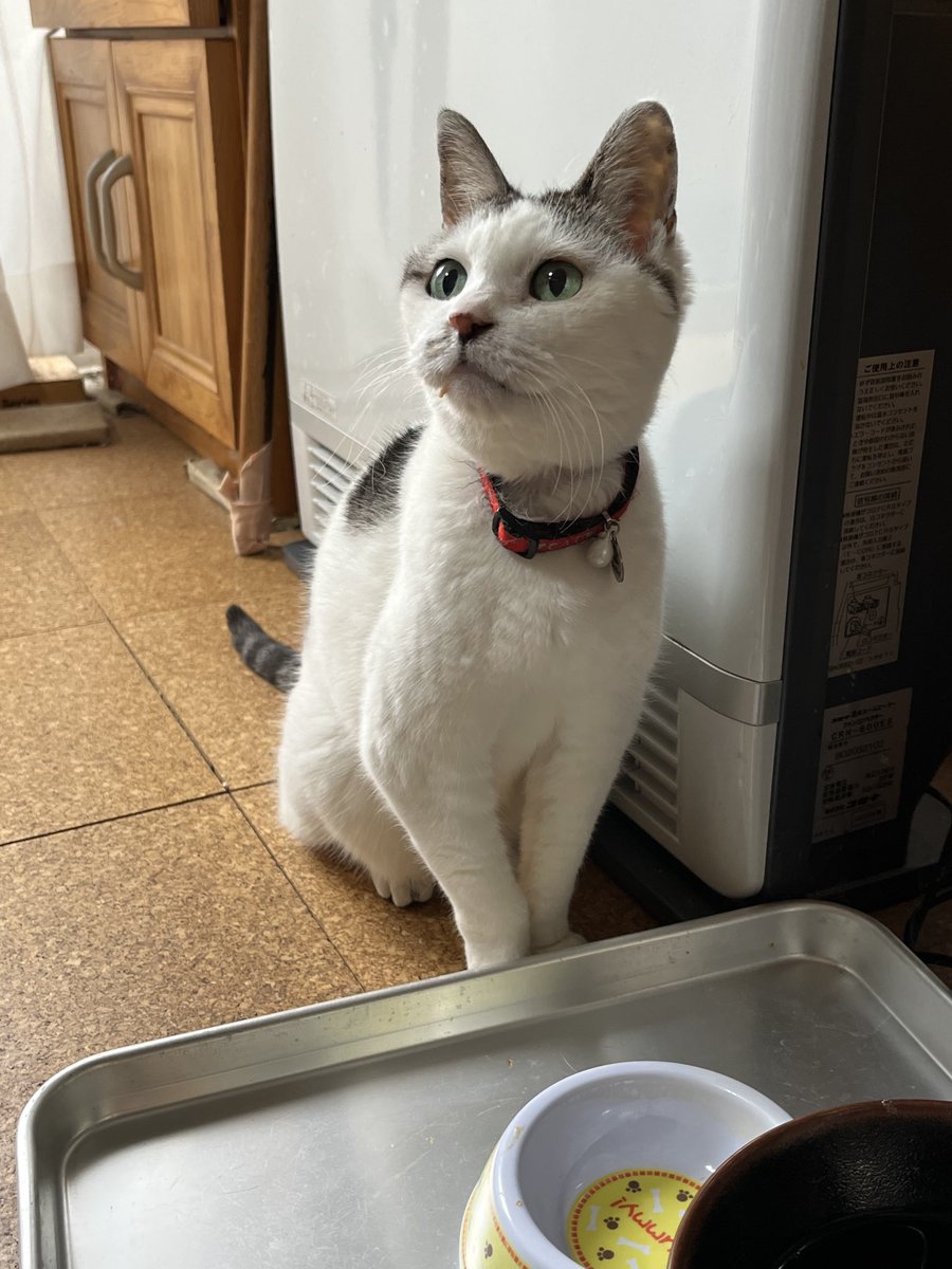 Hana (@photos79640143) / Posts / X