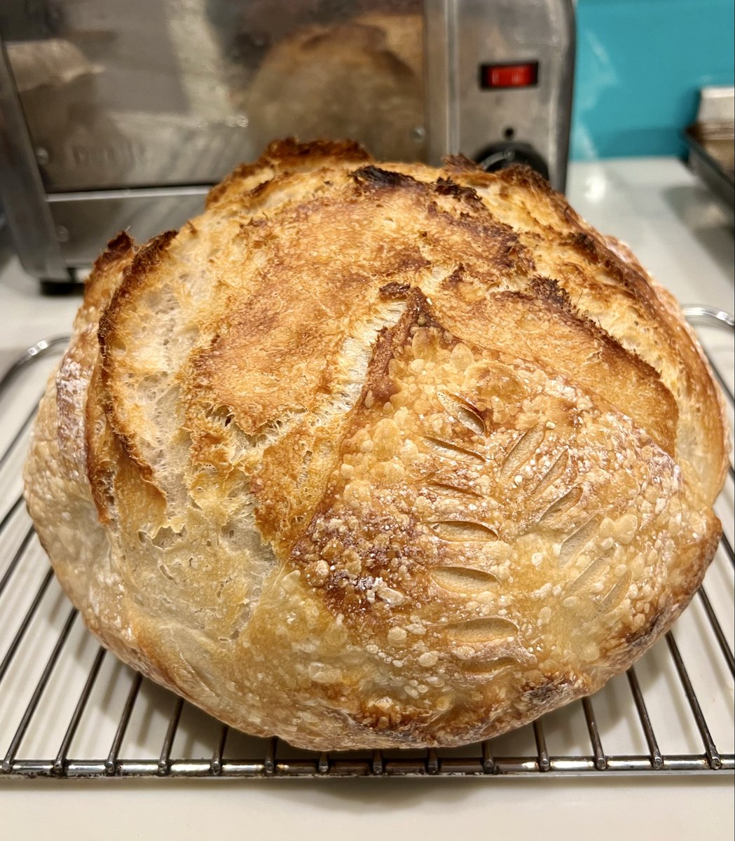 A simple white #sourdough loaf to start the week