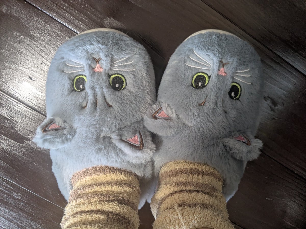 h_secondlife's tweet image. 猫を見たらうれしくて騒ぐので
ダンナが猫のスリッパくれました
猫のスリッパと猫柄の靴下(100均)でご満悦
安くつく女

#猫 #田舎暮らし #移住