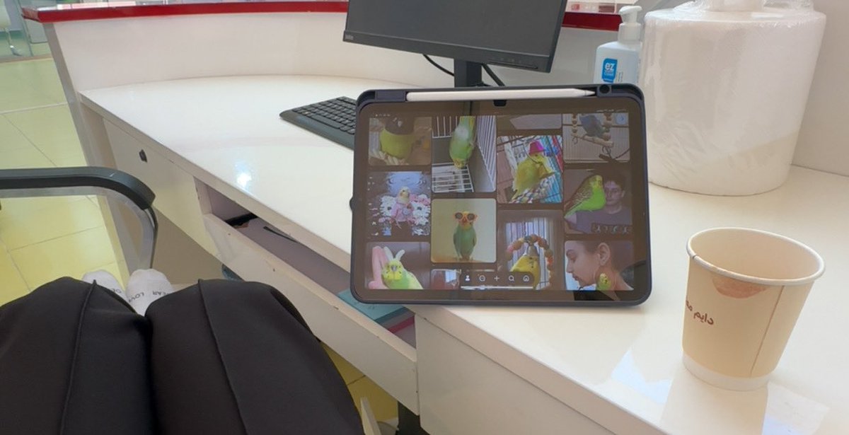 LO_loo's tweet image. كل العالم بأجازة الا انا 😾