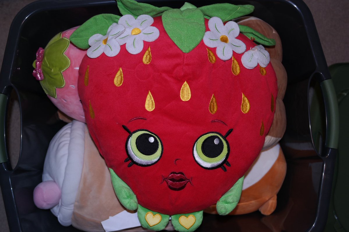 scarysweetdolls's tweet image. going through my childhood plushies &amp;amp; just found this gem hello… i didn’t even remember i had this 😭 still missing my shopkins blanket that idk what happened to it but at least i have this &amp;amp; my bagel shopkin plushie 🍓🥯