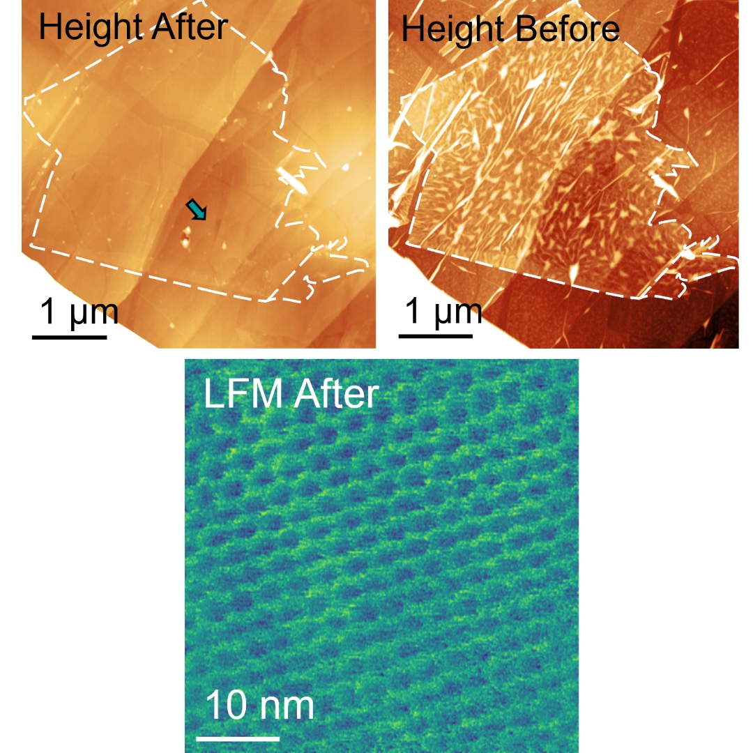 [𝗘𝗹𝗲𝗰𝘁𝗿𝗶𝗳𝗶𝗲𝗱 𝗯𝘆 𝗔𝗙𝗠: 𝗖𝗼𝗿𝗿𝗲𝗹𝗮𝘁𝗶𝘃𝗲 𝗪𝗲𝗲𝗸 / 𝗘𝗽𝗶𝘀𝗼𝗱𝗲 𝟭]​
In addition to measuring topography and physical properties on the nanoscale, 𝗔𝗙𝗠 𝗵𝗮𝘀 𝗶𝗻𝗰𝗿𝗲𝗱𝗶𝗯𝗹𝗲 𝗽𝗼𝘁𝗲𝗻𝘁𝗶𝗮𝗹 𝘁𝗼 𝗺𝗮𝗻𝗶𝗽𝘂𝗹𝗮𝘁𝗲 𝘀𝗮𝗺𝗽𝗹𝗲𝘀. In this