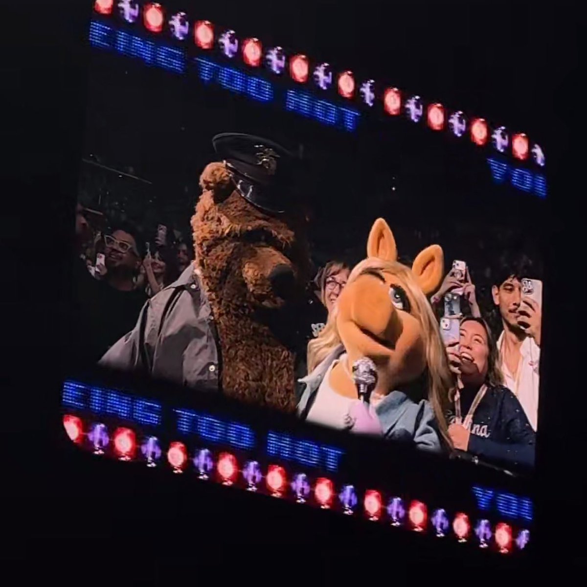 UpdatesBrinaBR's tweet image. “Você é a única celebridade que eu fico muito nervosa de estar perto.”

— Sabrina Carpenter prendendo Miss Piggy, dos Muppets, durante ‘Juno’ para a última noite de #LAShortnSweet.