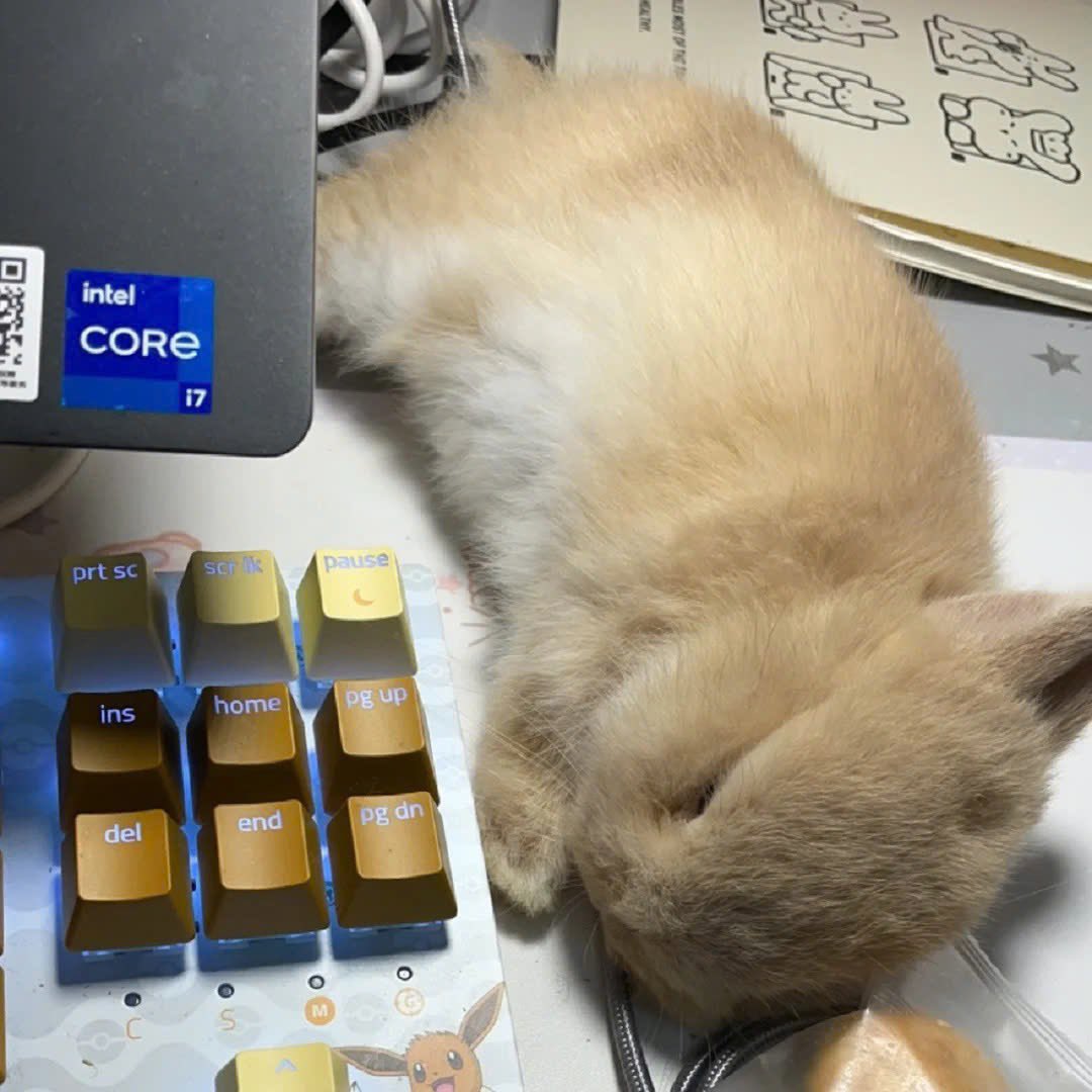 Goedemorgen, maandagochtendbunnies!