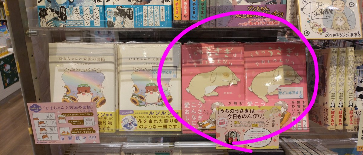 🐰『うちのうさぎは今日ものんびり』よりサイン本入荷しました