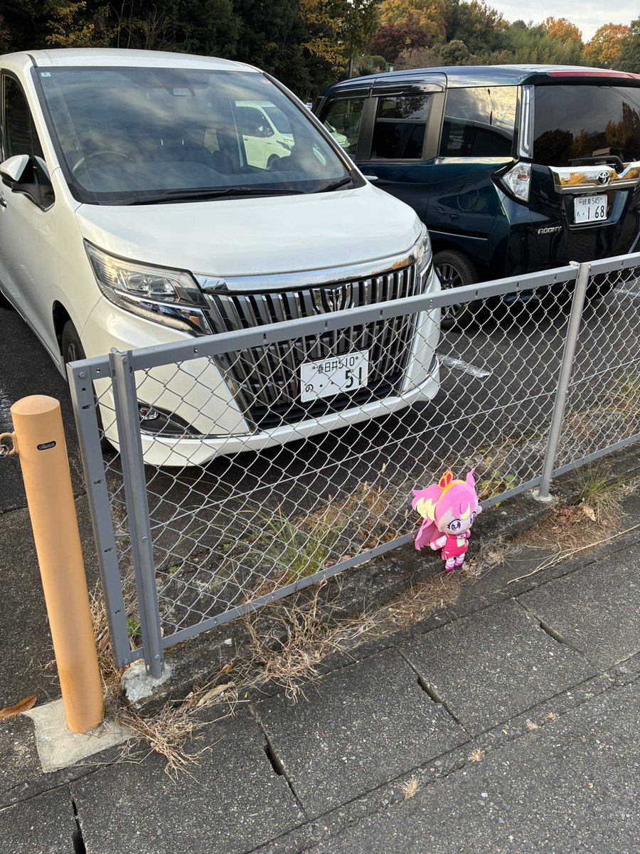 💛🐥ひなのさん永遠の最推し@SになりたかったドM (@sho_19900302