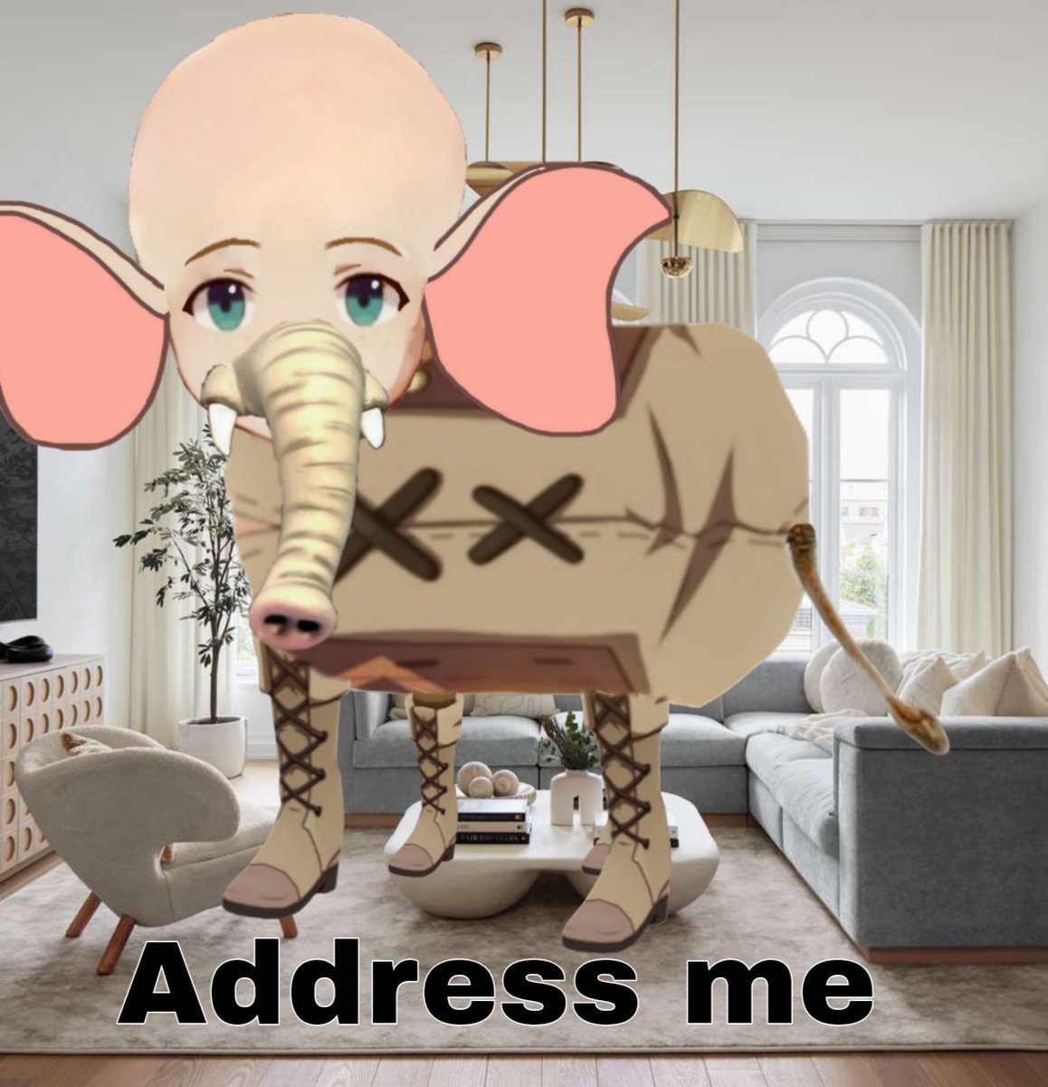 Daily timmie 🕊️ tweet media