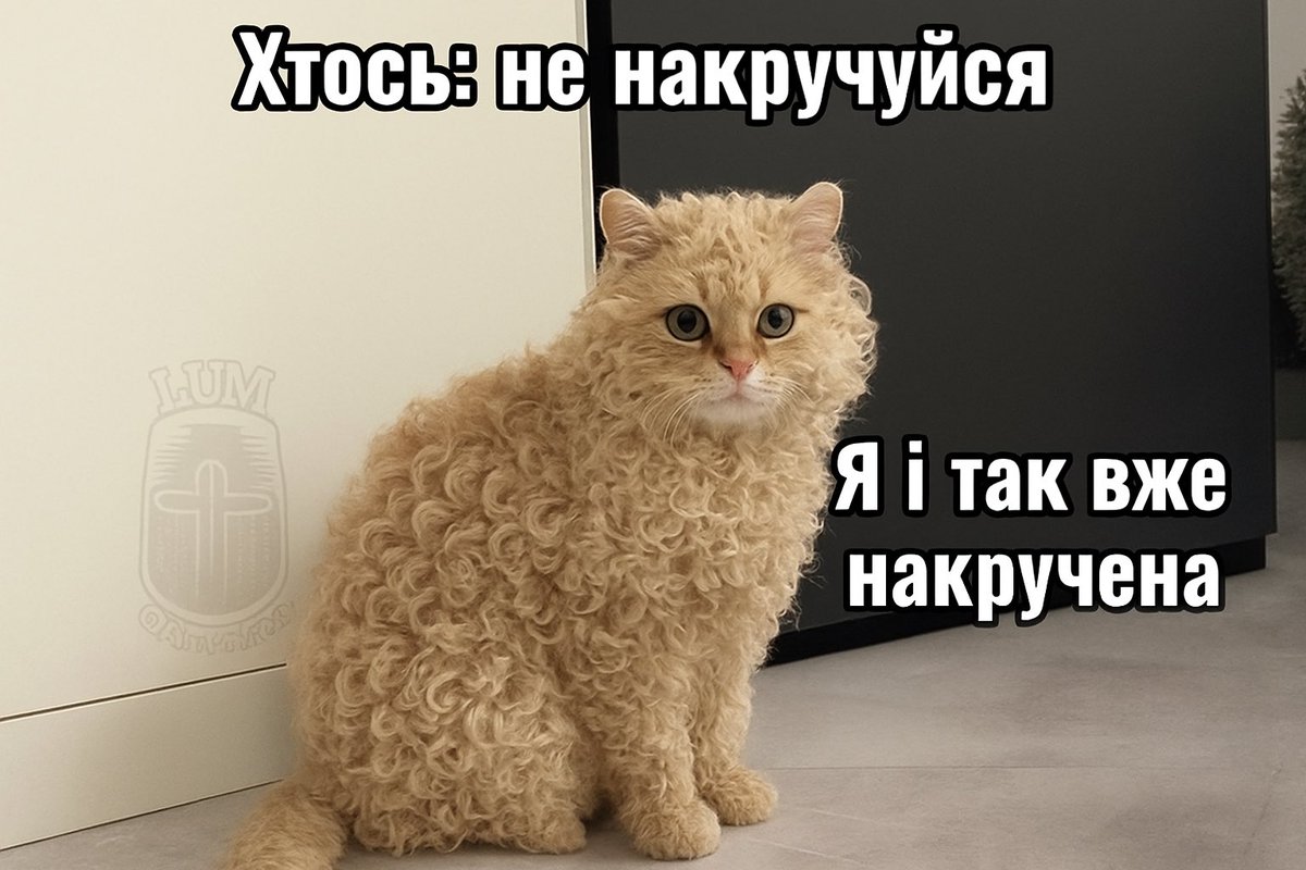moiis__'s tweet image. Гарно накручена  😍