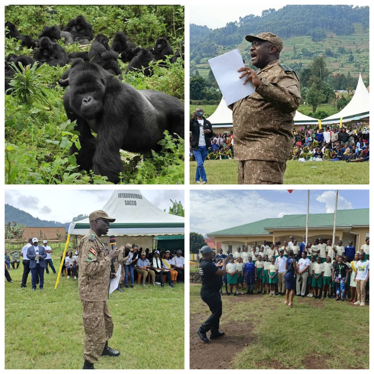 Celebrating WorldGorillaDay 2025 in Kisoro on Oct 25! Theme: "Mountain Gorillas, Our Treasure." Chief Warden Nelson Guma highlighted the growth of gorilla populations &amp; community involvement in conservation. 
Dr. James Musinguzi announced key tourism infrastructure improvement