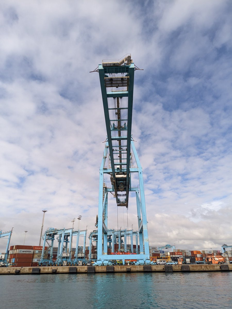 Grúas pórtico de la terminal de contenedores de <a href="/Maersk/">Maersk</a> en el <a href="/PuertoAlgeciras/">Puerto de Algeciras</a>.