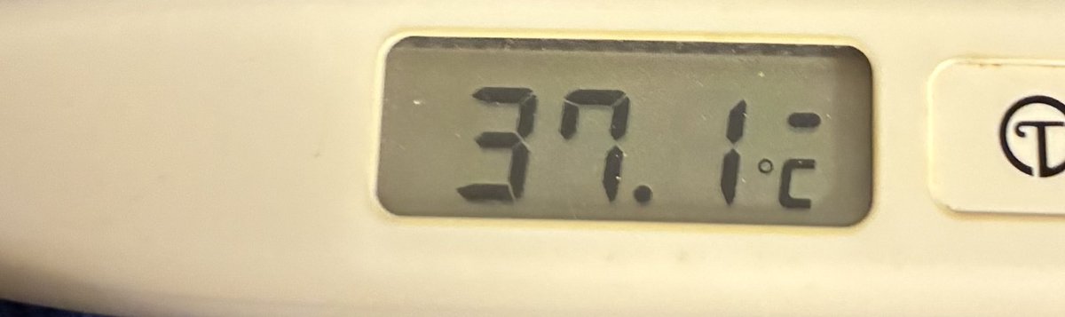 これこっから上がっていくやつだ🥺