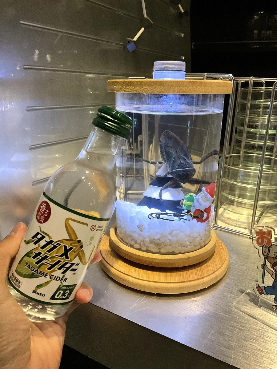 with タガメサイダー💫