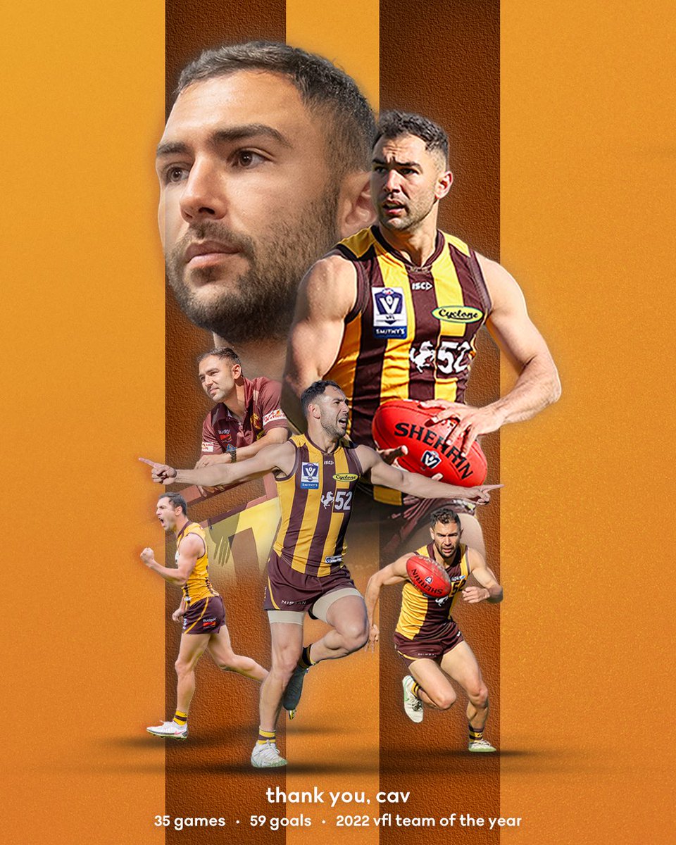 Box Hill Hawks tweet media