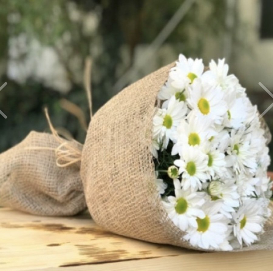 Cumhuriyetin fedakar öğretmen ve eğitimcileri, yeni nesli sizler yetiştireceksiniz. Ve yeni nesil sizin eseriniz olacaktır. 
MUSTAFA KEMAL ATATÜRK
BAŞ ÖĞRETMEN❤️❤️❤️
#ÖĞRETMENLERGÜNÜNÜZKUTLUOLSUN