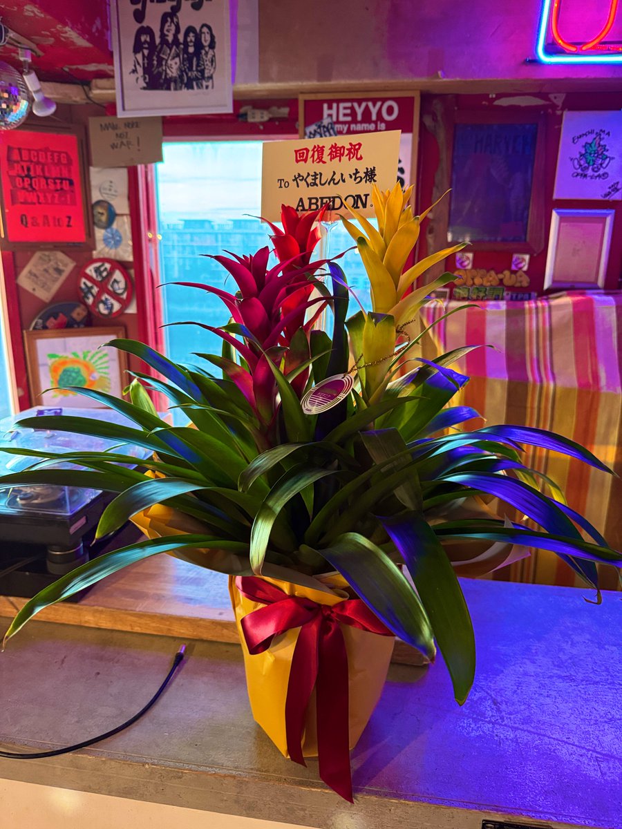 未開封❗ソレンコワ・リサイタル リサイタル