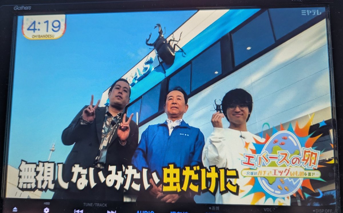 クワガタんとこにエバースきてたんか
#エバース