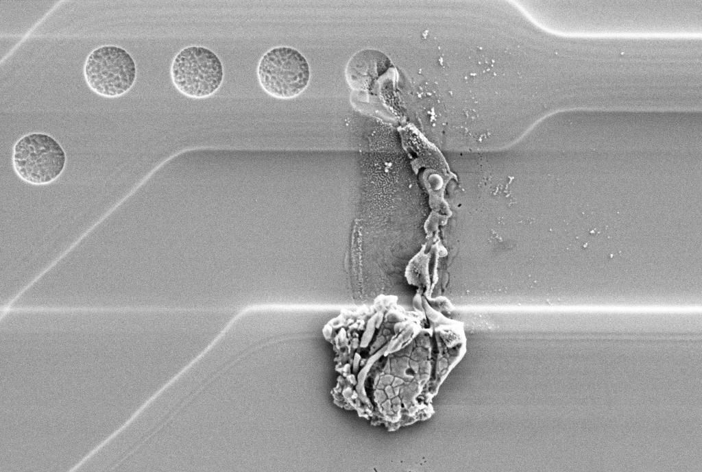 MacroWorld21's tweet image. Identifying ESD damage using electron microscope..
For people who like to read technical stuff 😛
mbsitem.co.uk/identifying-es…