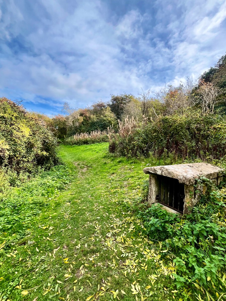 sw37xx's tweet image. Happy new week, my friends! 😊

Wishing you all a positive &amp;amp; productive 
week ahead! 💙 #mondaythoughts